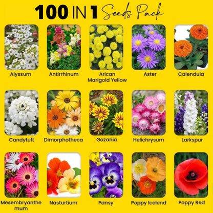 Premium Flower Seeds ( Pack Of 100)