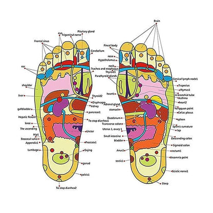 STEPLAXO™ Acupressure Foot Relaxer Massager Slipper
